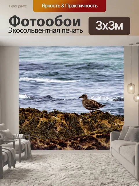 Фотообои чайка