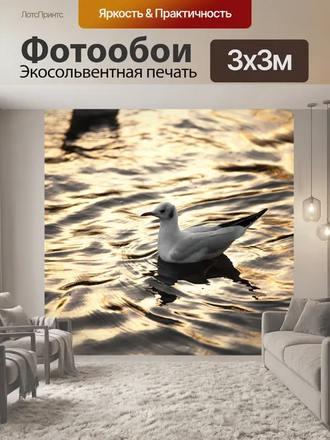 Фотообои Чайки в море