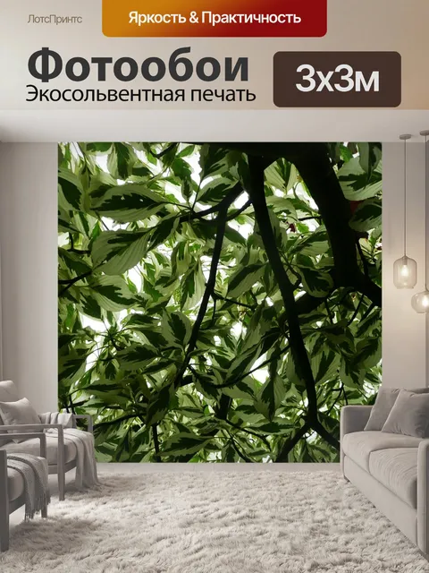 Фотообои Деревья