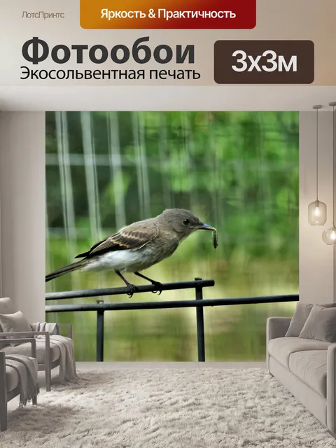 Фотообои Птица на заборе ест гусеницу