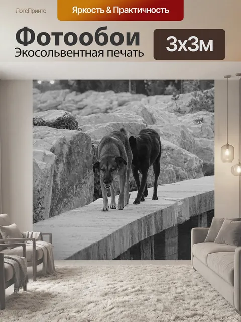Фотообои Животные