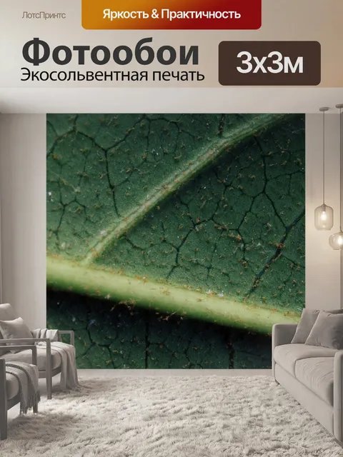 Фотообои Цветок