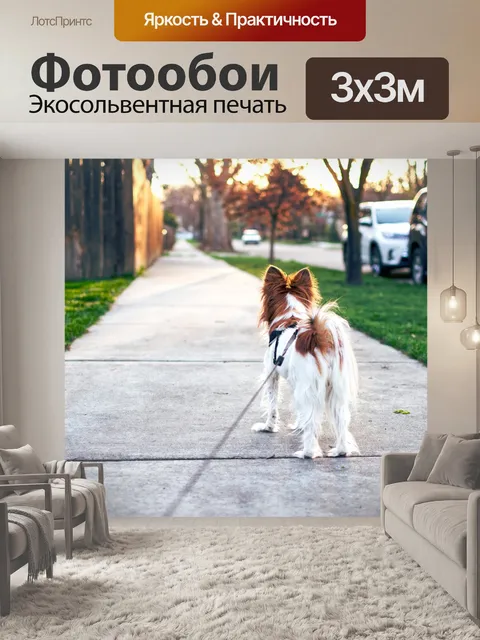 Фотообои Собака