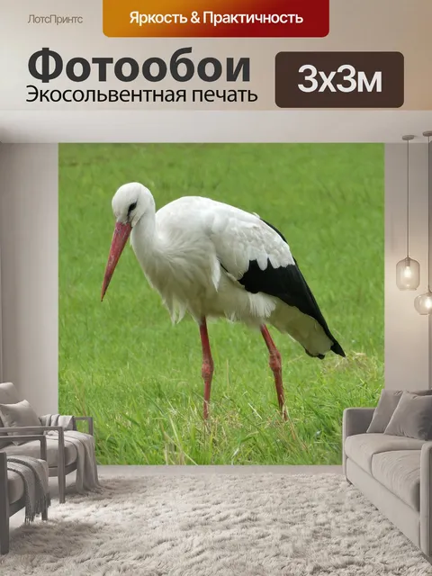 Фотообои Аист