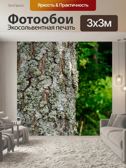 Фотообои Дерево