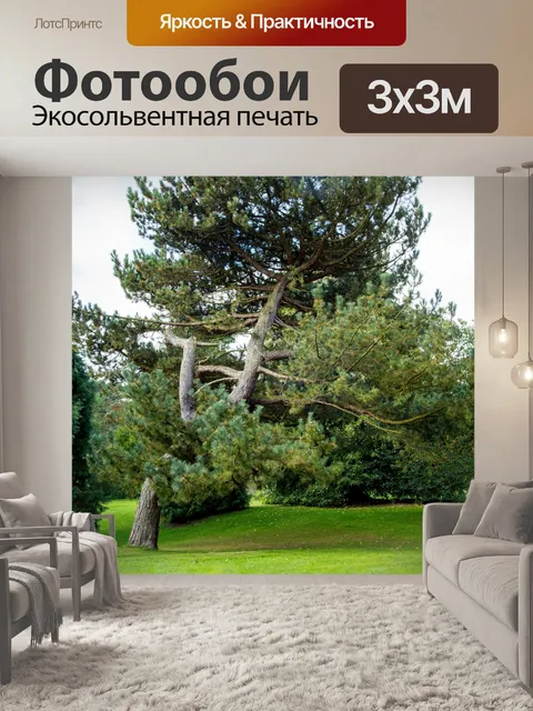 Фотообои дерево