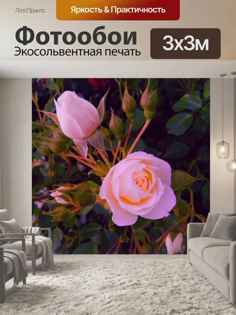 Фотообои Нежность