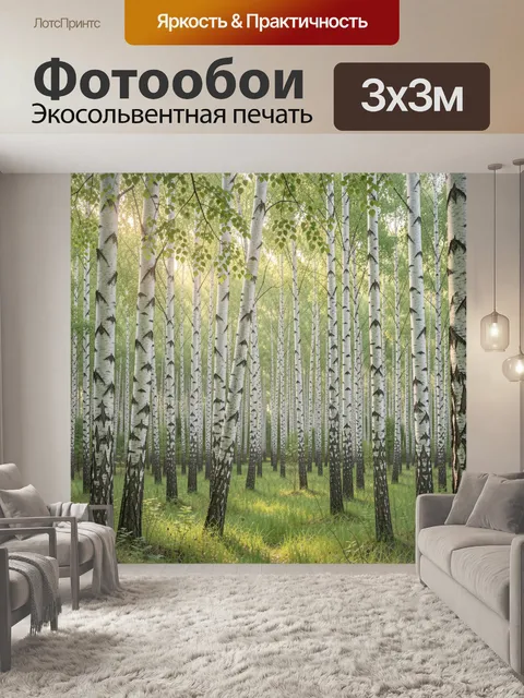 Фотообои Березовая роща в солнечном свете