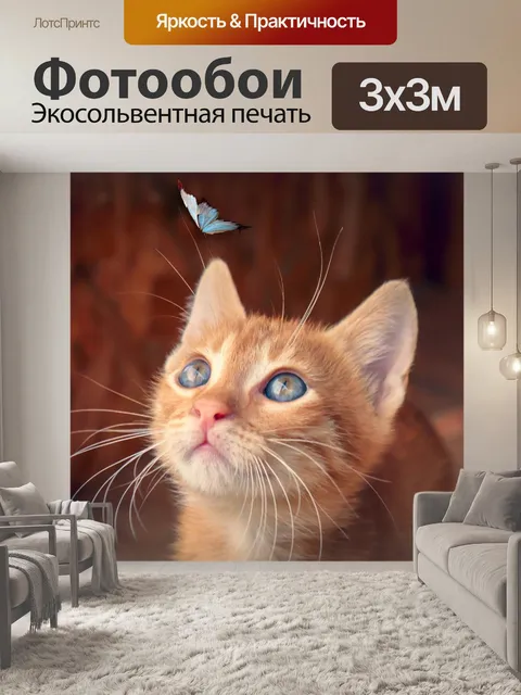 Фотообои Кот