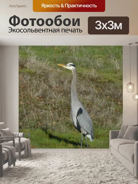 Фотообои Цапля 617