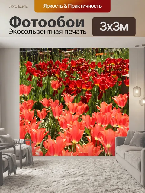 Фотообои Тюльпаны