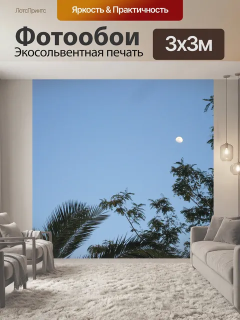 Фотообои Луна Деревья 2