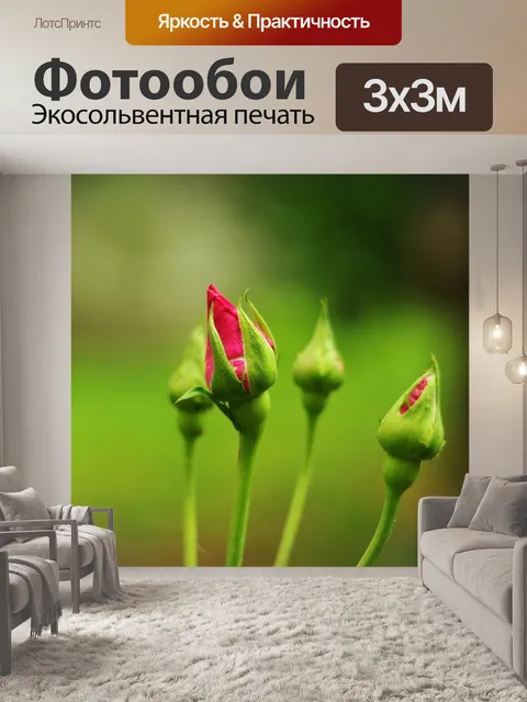 Фотообои Цветок