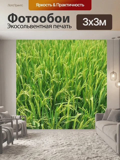 Фотообои Рост