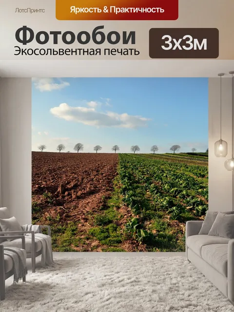 Фотообои Деревья