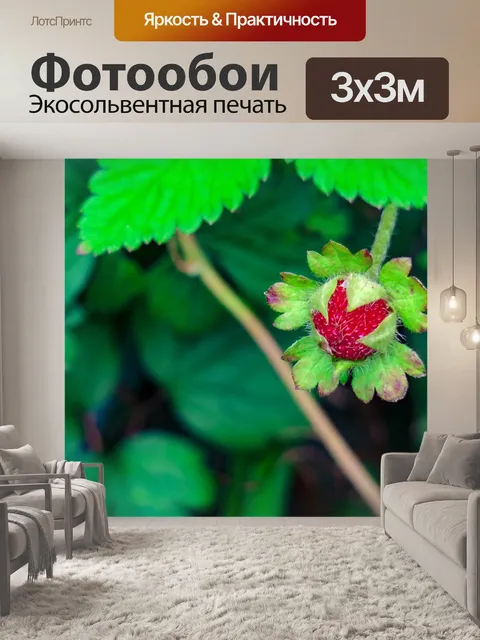 Фотообои Змея ягода