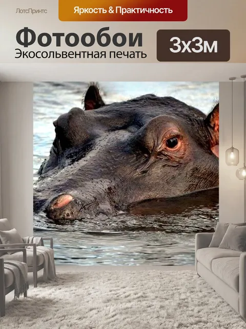 Фотообои Бегемот