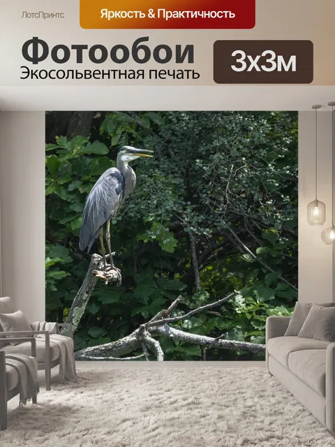 Фотообои Большая птица