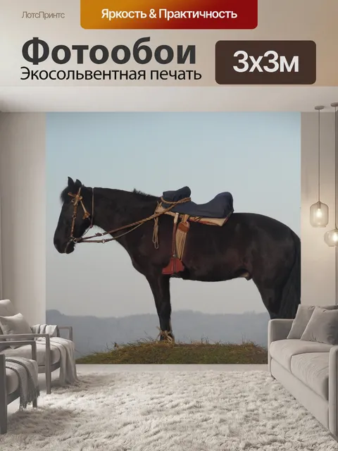 Фотообои Лошадь