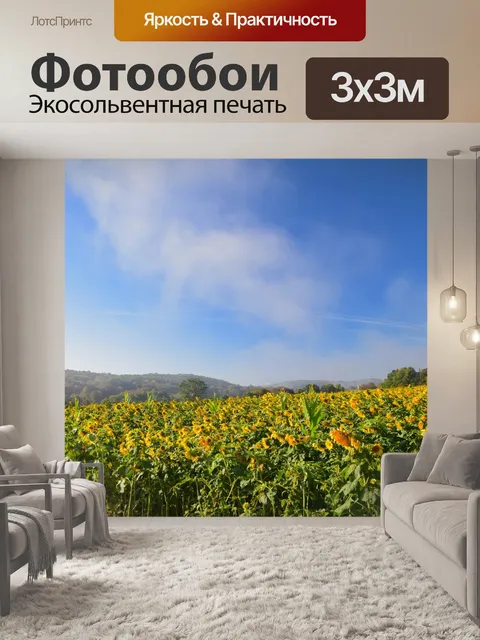 Фотообои Подсолнухи