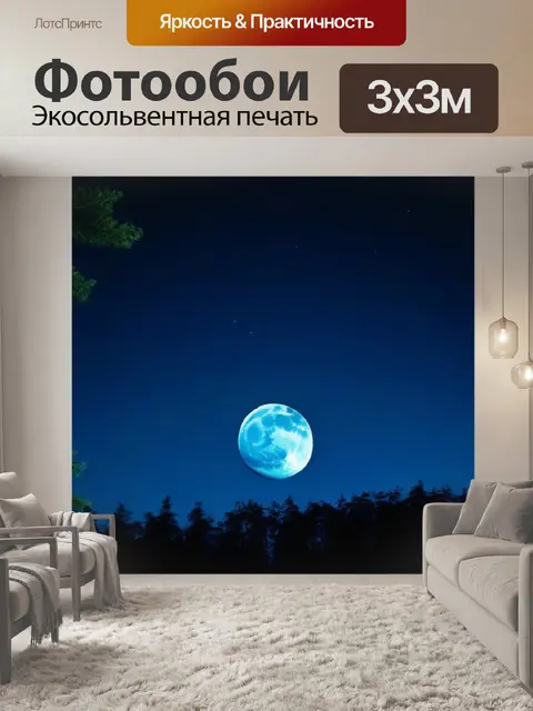 Фотообои лес ночью с луной