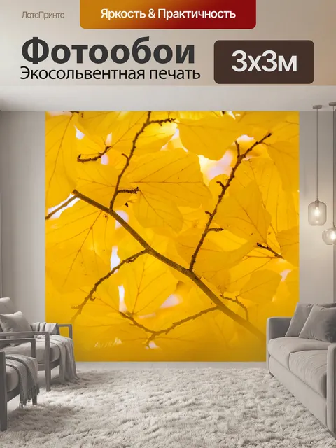 Фотообои Желтые осенние листья