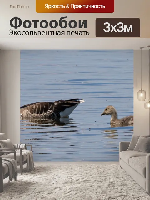 Фотообои Озеро