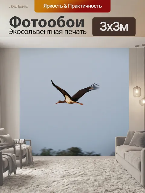Фотообои Птица