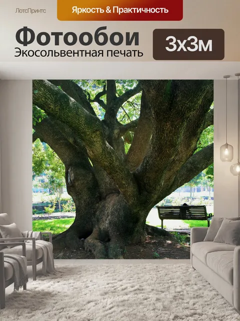 Фотообои дуб в парке