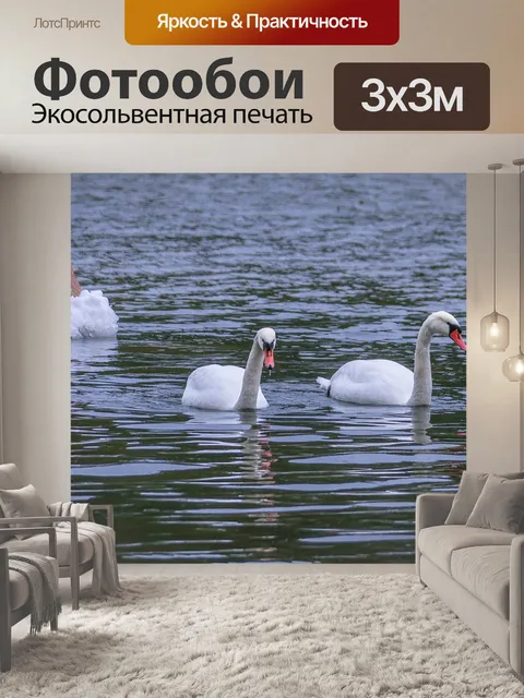 Фотообои Лебеди