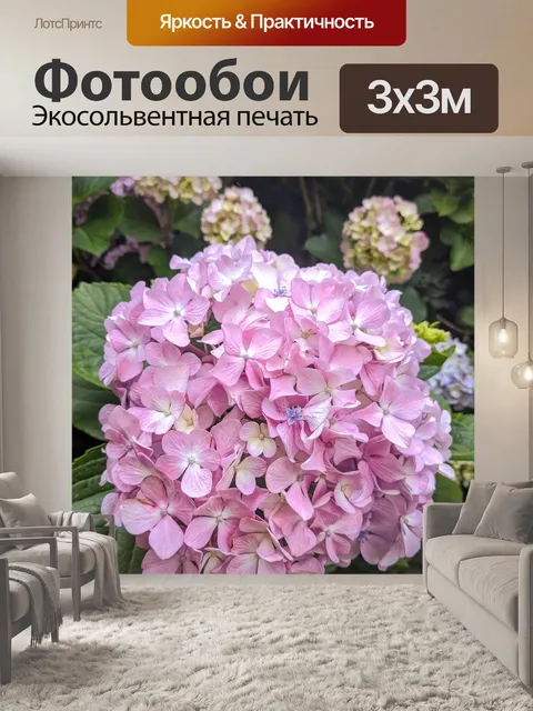 Фотообои Гортензии