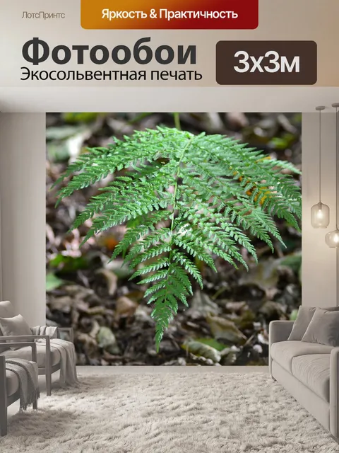 Фотообои Лес