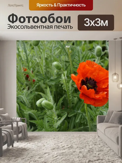 Фотообои Мак
