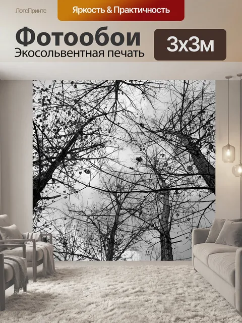 Фотообои Деревья