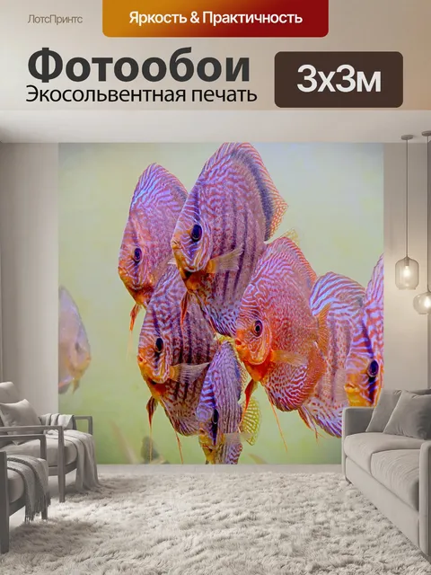 Фотообои Аквариум