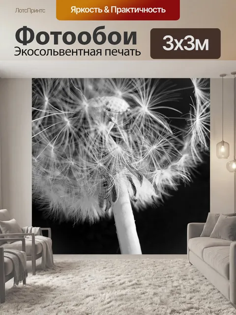 Фотообои Одуванчик