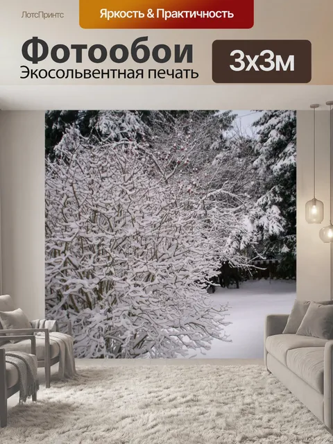 Фотообои Зимние деревья