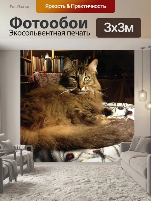 Фотообои Кошка