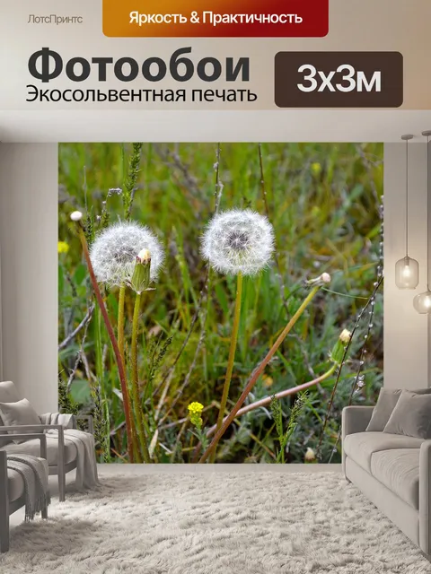 Фотообои Одуванчики