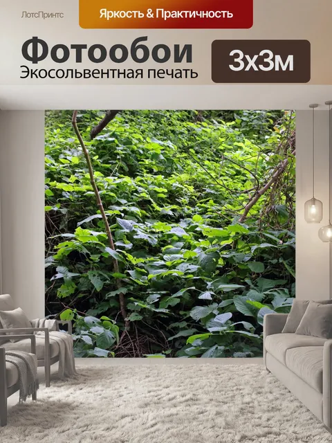 Фотообои густая зеленая субтропическая листва