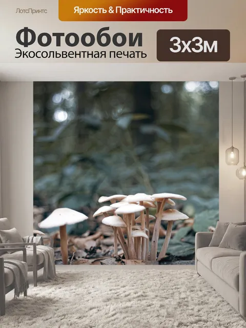 Фотообои Гриб