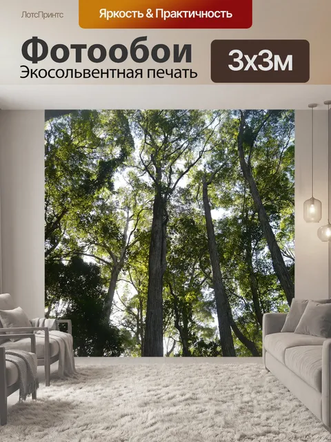 Фотообои Тропический лес