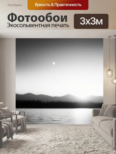 Фотообои пейзаж с озером закат чернобелый