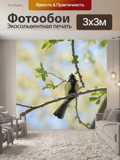 Фотообои Птица