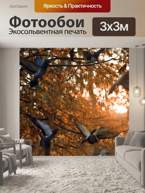 Фотообои Птицы