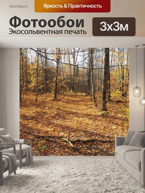 Фотообои Осенний пейзаж