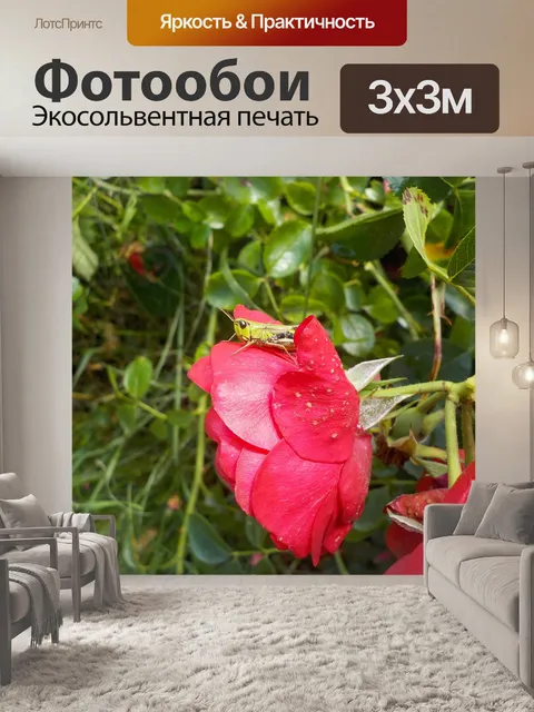Фотообои Пустынная саранча