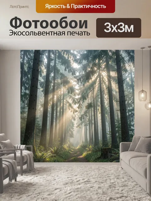 Фотообои Туманный хвойный лес с лучами