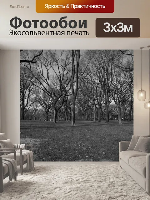 Фотообои Центральный парк, Нью-Йорк