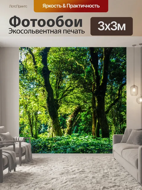 Фотообои Тропический лес в Дои Интанон, Чиангмай